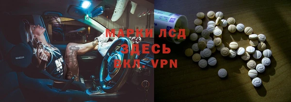 PSILOCYBIN Алзамай