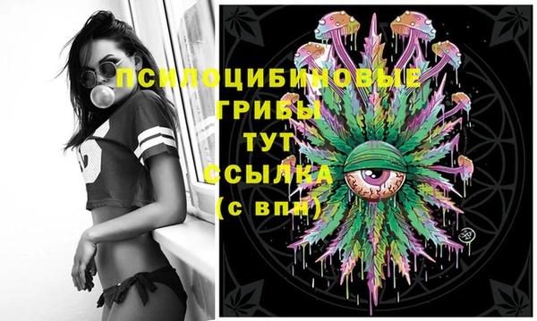 PSILOCYBIN Алзамай