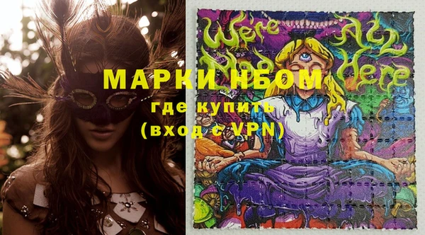 PSILOCYBIN Алзамай