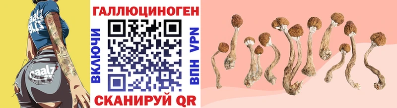 Галлюциногенные грибы прущие грибы  цены наркотик  Чадан 